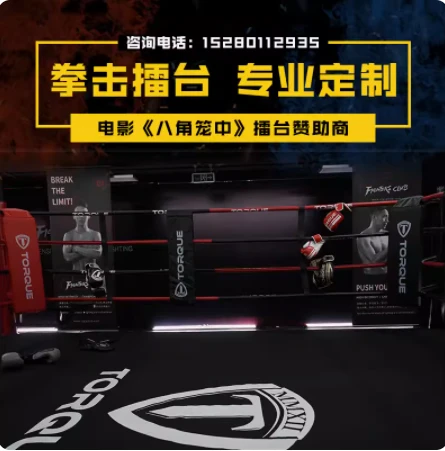 Astoņstūris MMA