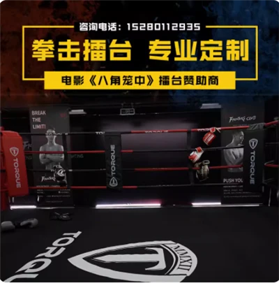 Astoņstūris MMA